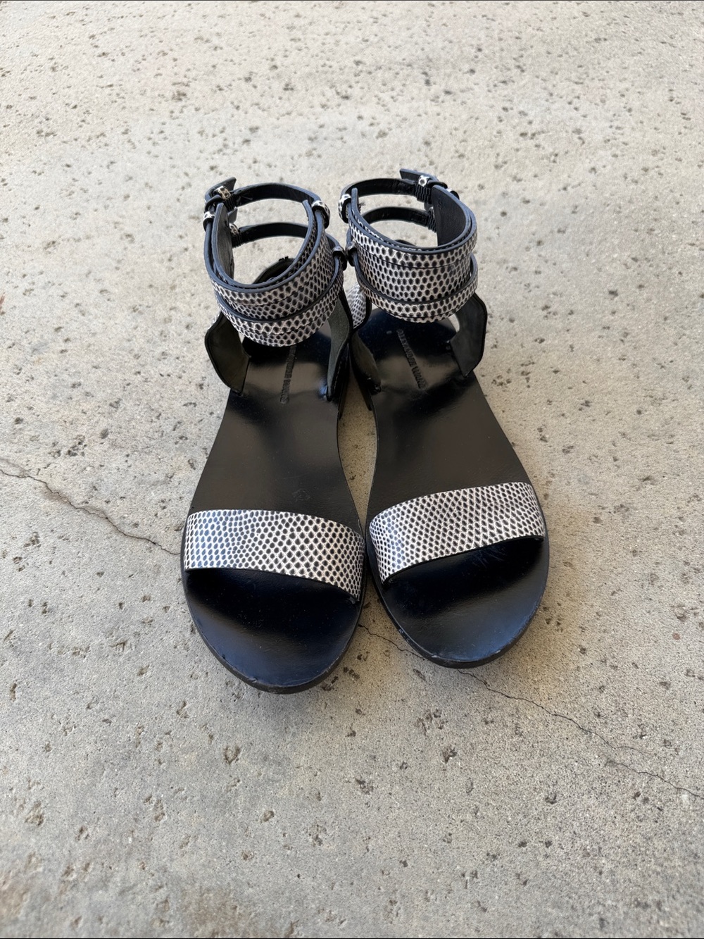 Alexander wang Women's Black and white snake print Sandals